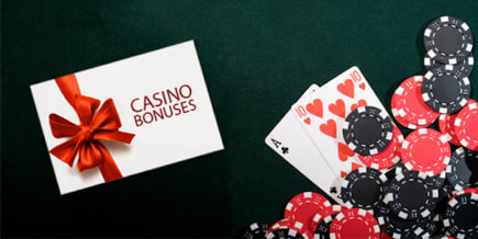 zebra bets apostas na emoção